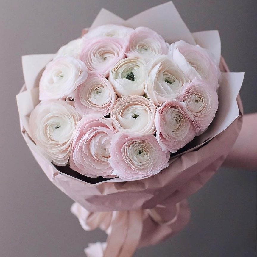 Ранункулюсы