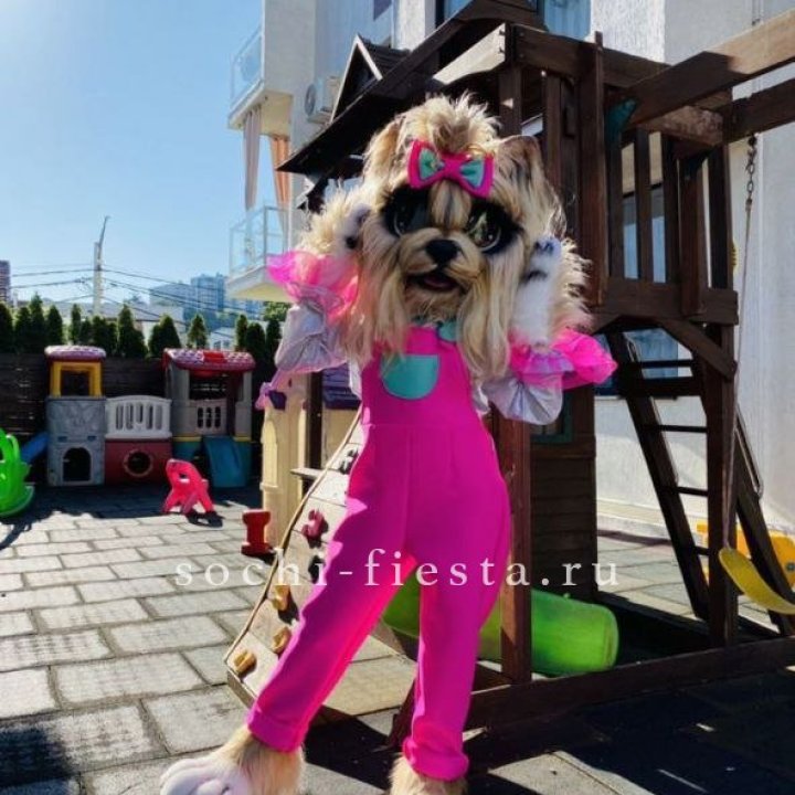 Аниматор Гламурная Собака в Кирове