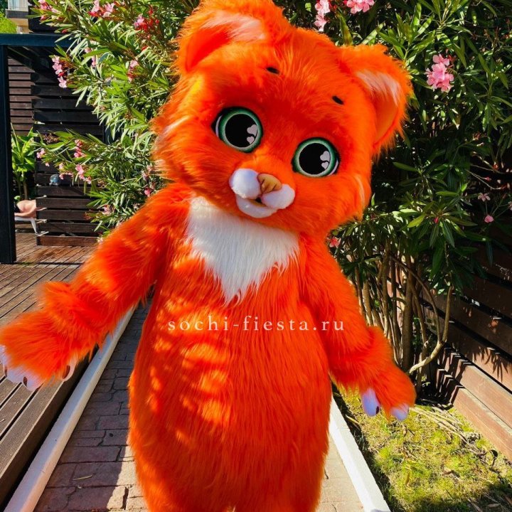 Аниматор Котик в Кирове