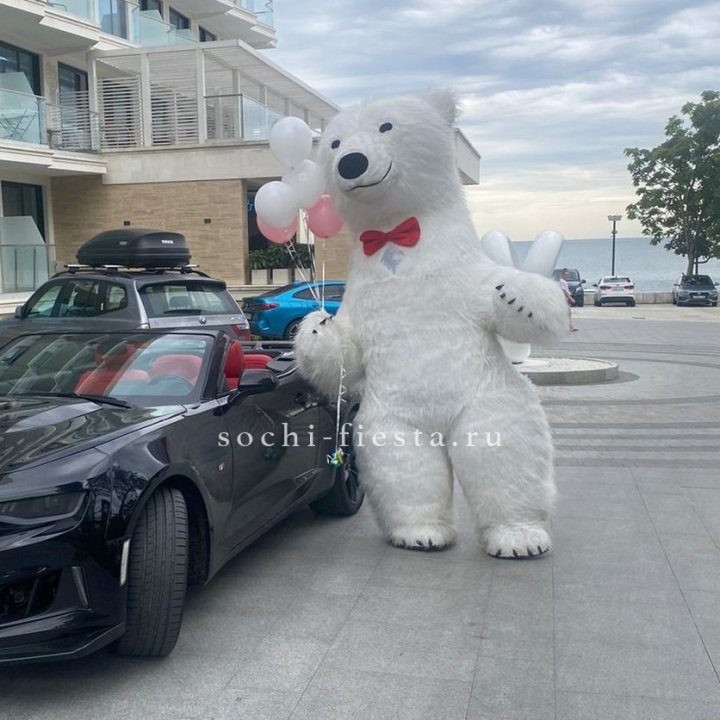 Аниматор Белый Медведь в Кирове