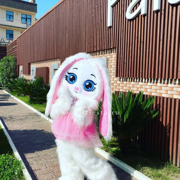 Аниматор Зайка в Кирове