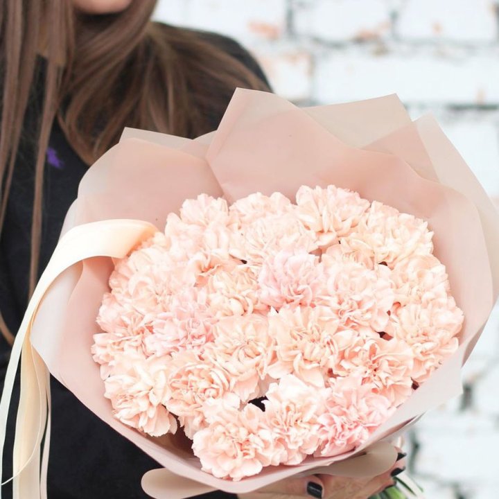 Диантусы №2 в Кирове