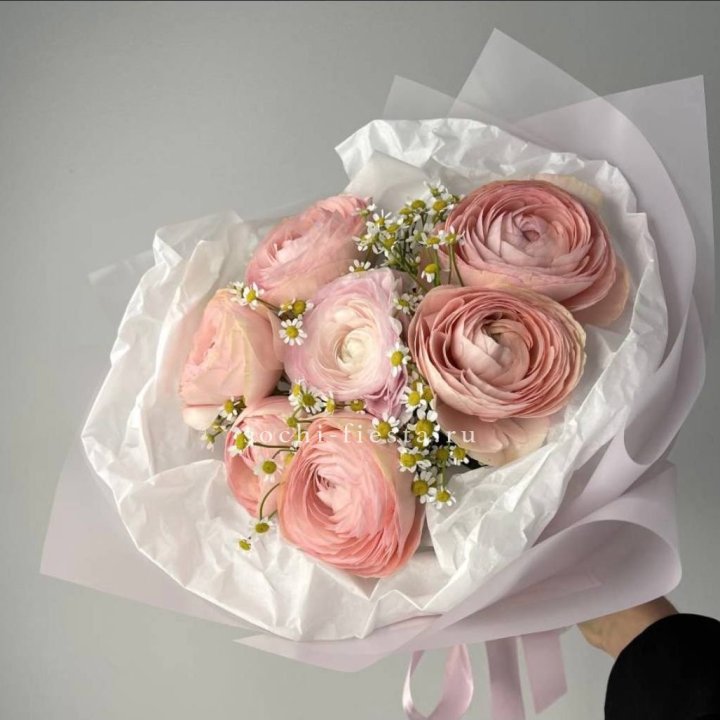 Ранункулюсы с ромашками в Кирове