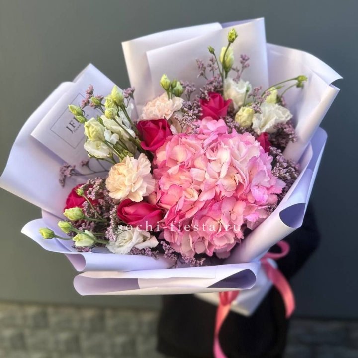 Гортензия "Перпил" в Кирове