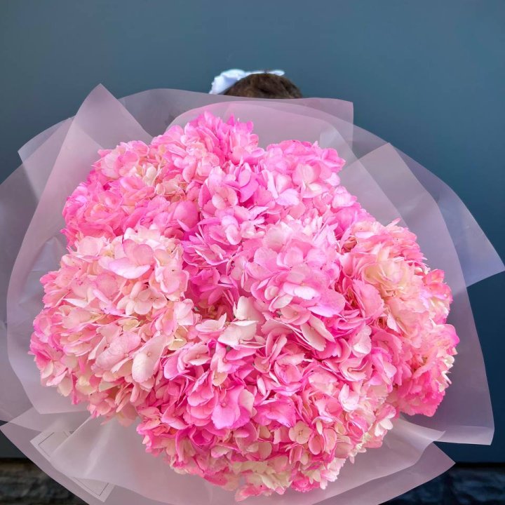 9 ярко розовых гортензий в Кирове