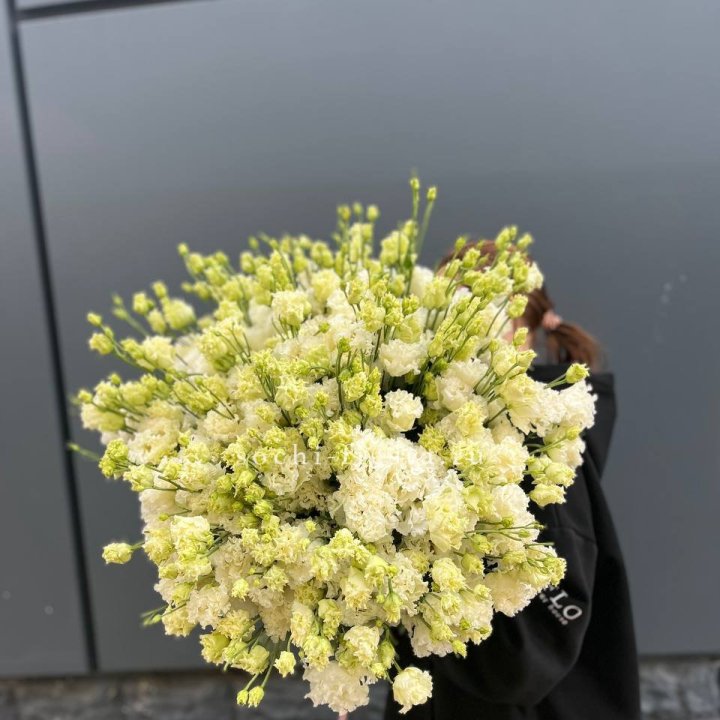 51 белая эустома в Кирове