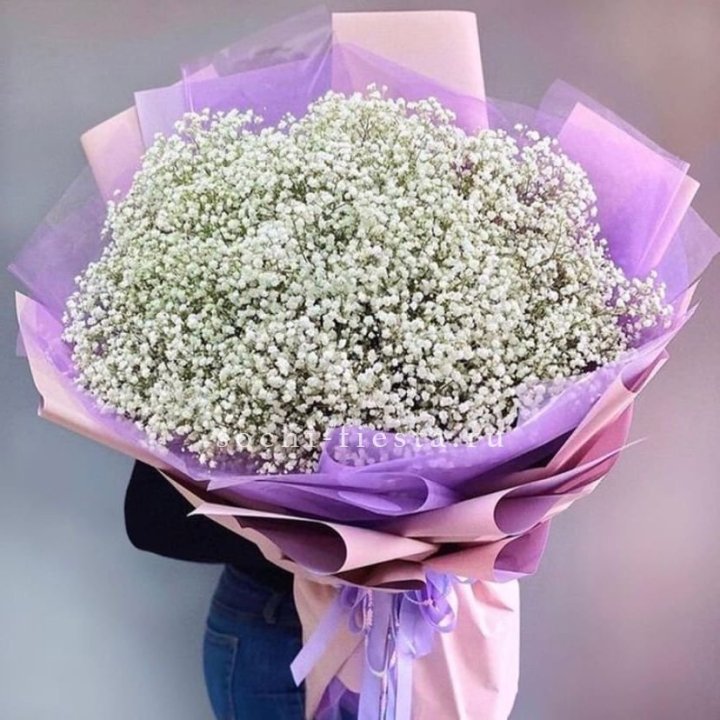 Облако белых гипсофил в Кирове