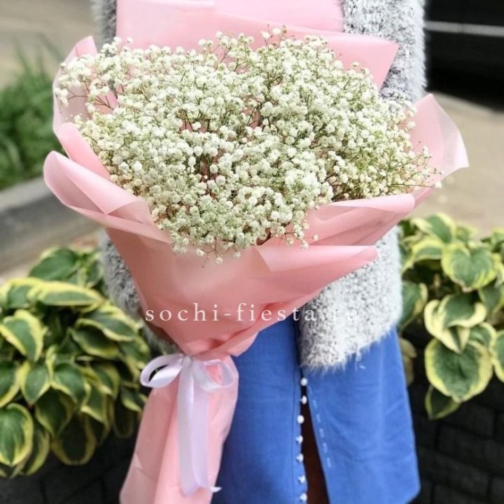 Белоснежные гипсофилы в Кирове