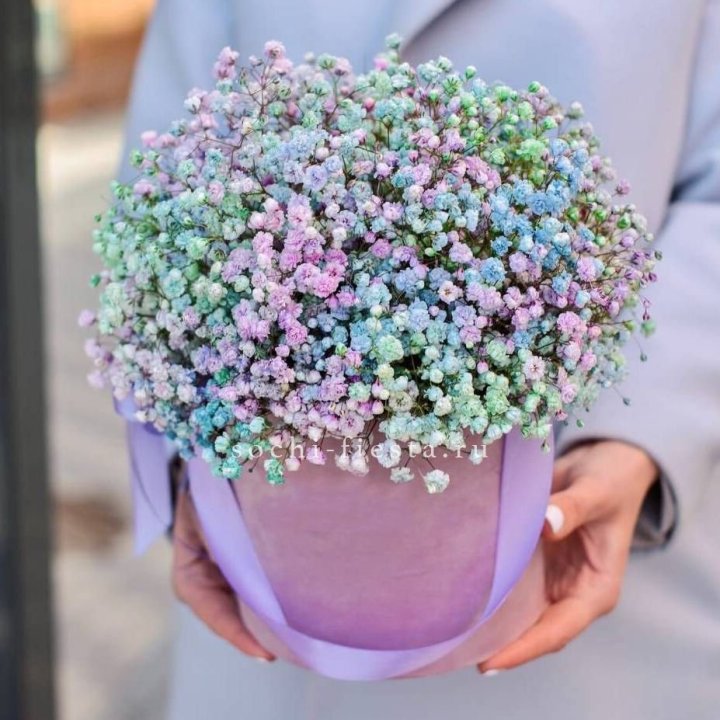 Гипсофилы в шляпной коробке "Кандилайт" в Кирове