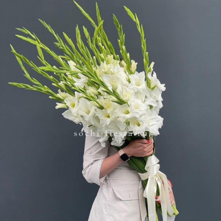 19 белых гладиолусов под ленту в Кирове