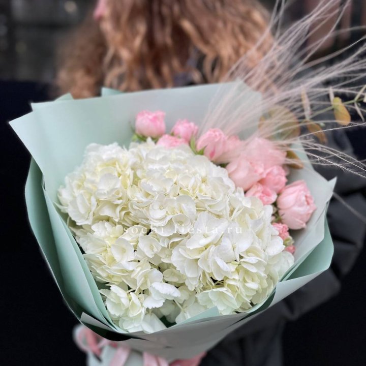 Гортензия "Жасмин" в Кирове