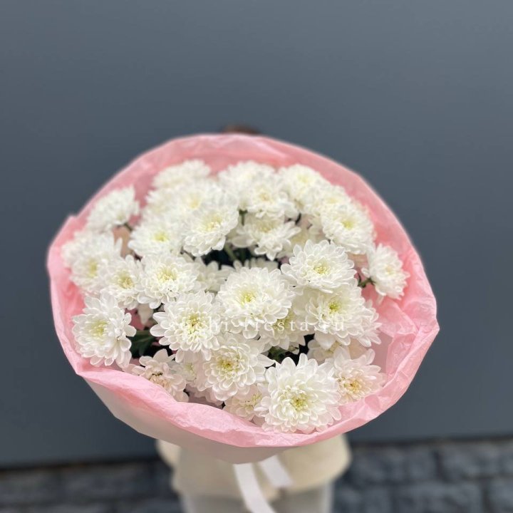  5 хризантем  в Кирове