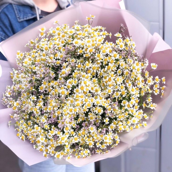 Букет ромашек №1 в Кирове