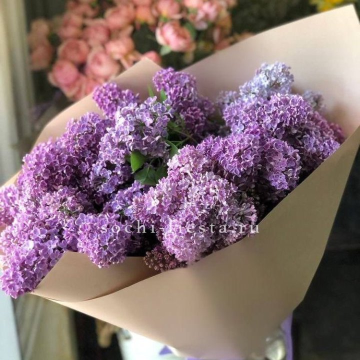 Букет сирени №2 в Кирове