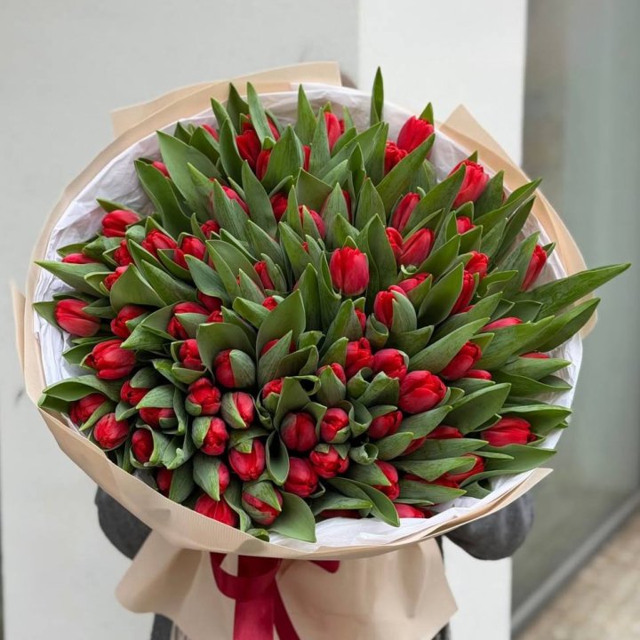 101 красный тюльпан в Кирове