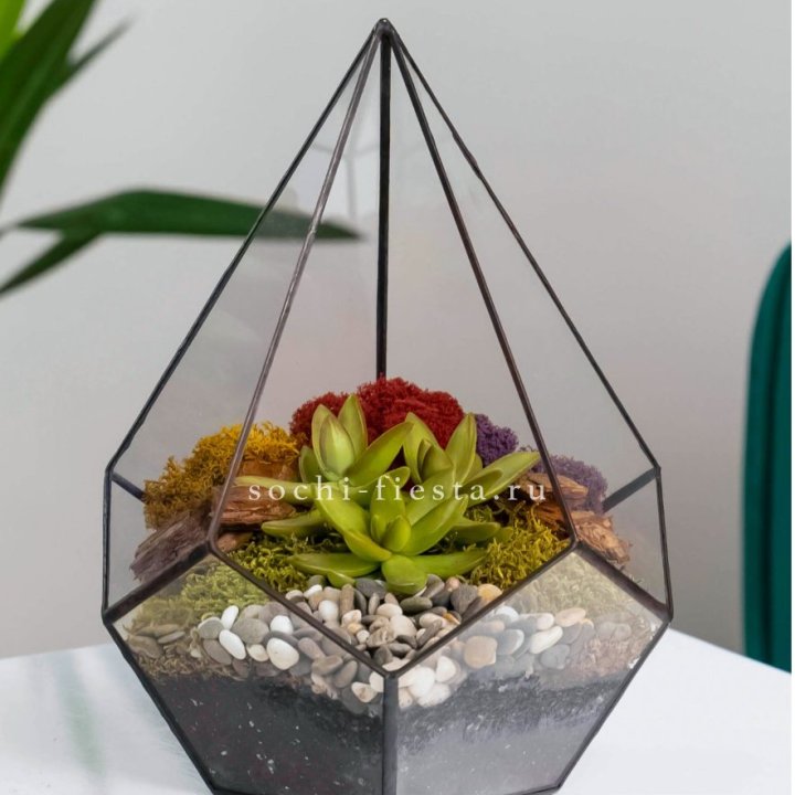 Флорариум Капля с суккулентом в Кирове