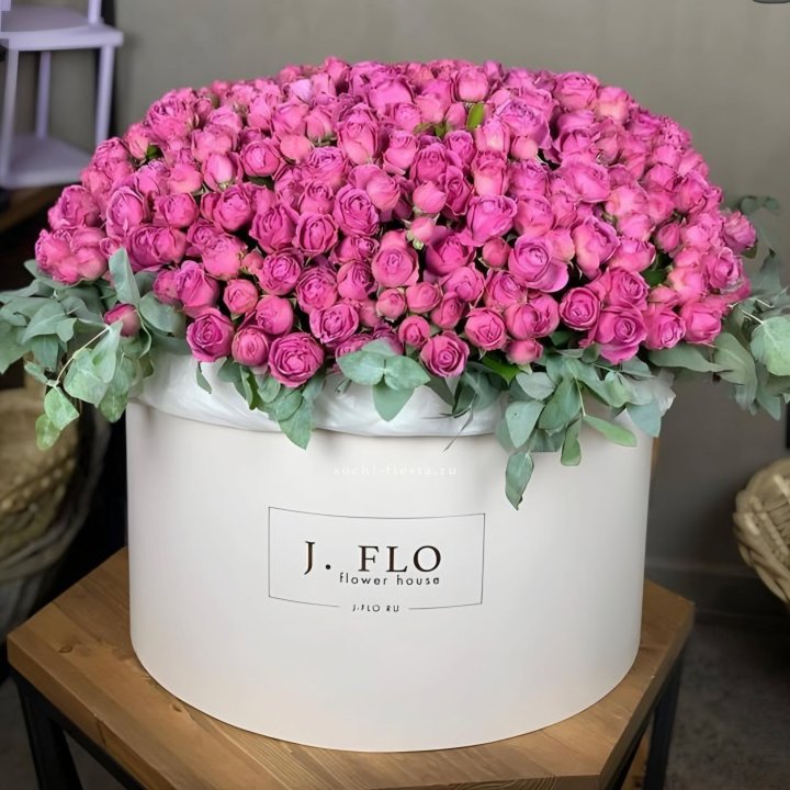 Цилиндр с Мисти Бабблс  в Кирове