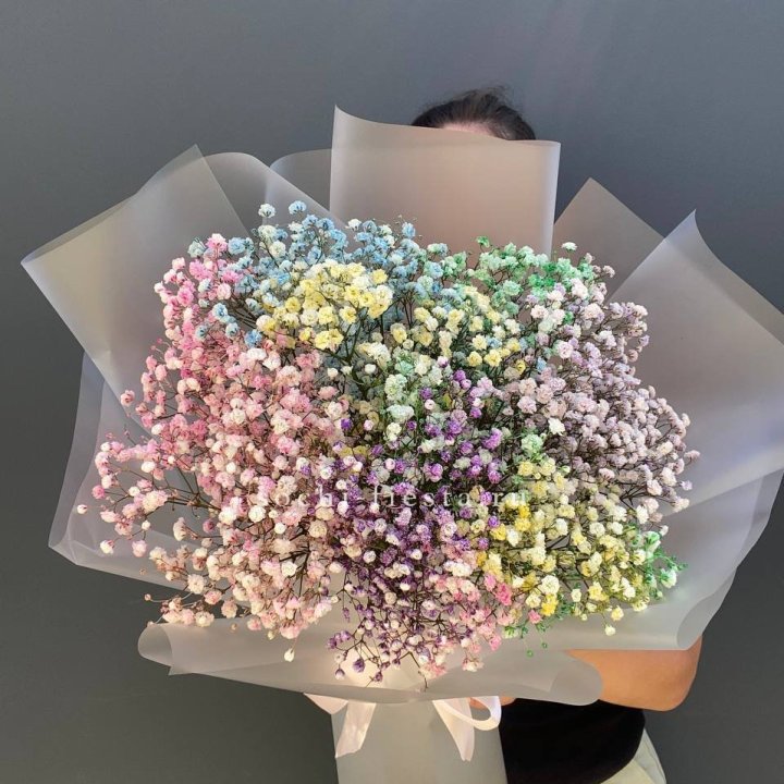 Радужные гипсофилы  в Кирове