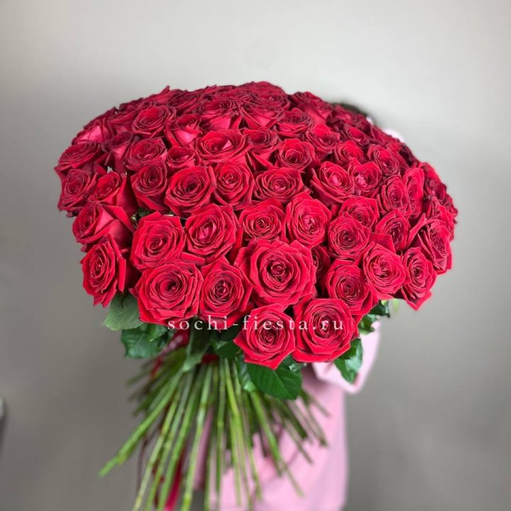 101  голландская роза  в Кирове