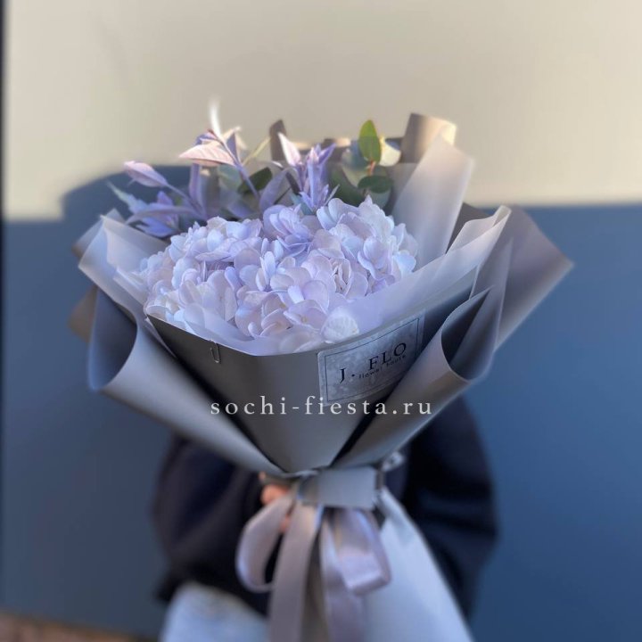 Гортензия "Виолета" в Кирове