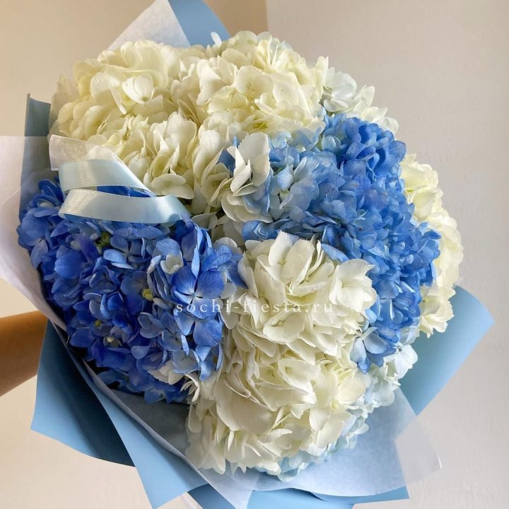 Букет гортензий "Голубая лаза" в Кирове