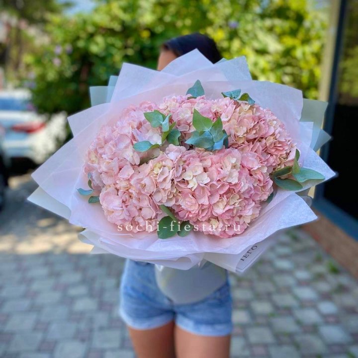 5 розовых гортензий  в Кирове