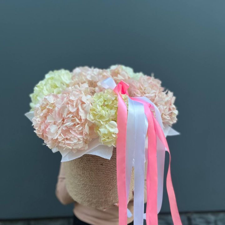 7 гортензий в кашпо в Кирове