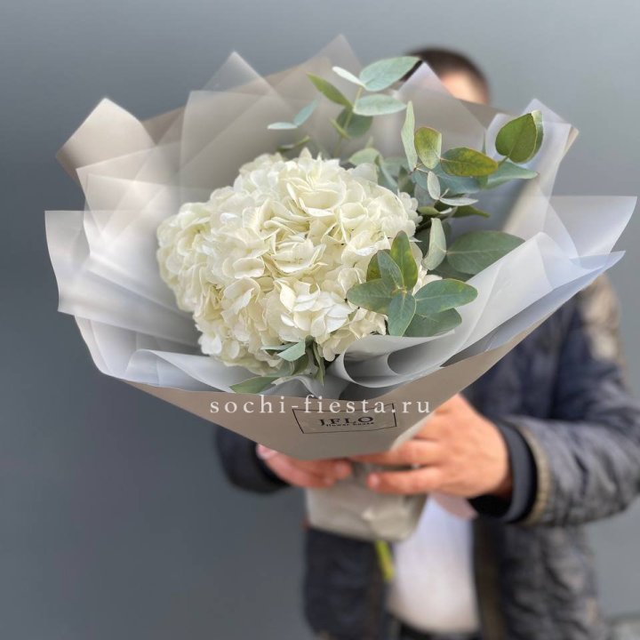  Букет  из белой гортензии в Кирове