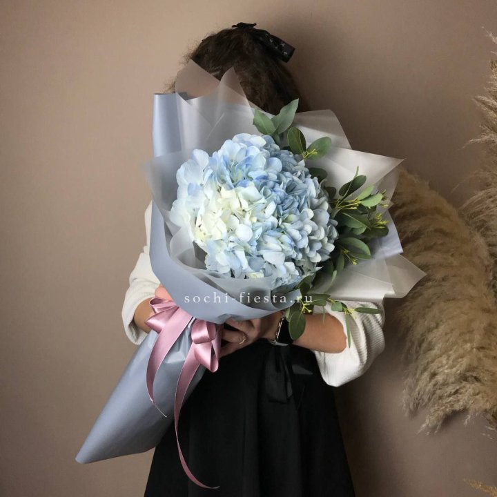 Гортензия Уно в Кирове