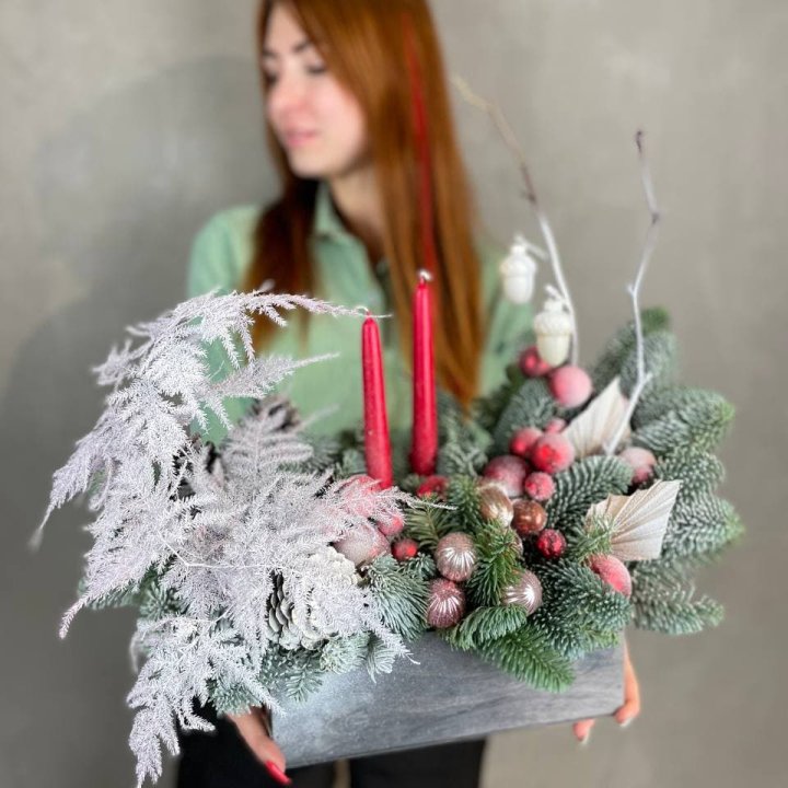 Бокс красный с нобилисом в Кирове