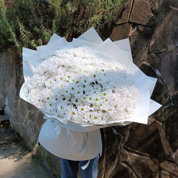 Облако хризантем №2 в Кирове