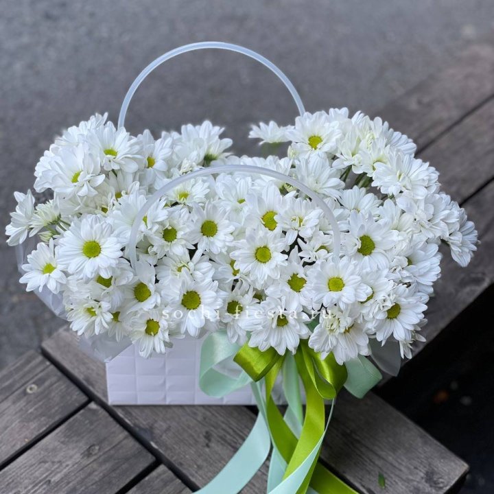 Сумка с хризантемами ромашками в Кирове