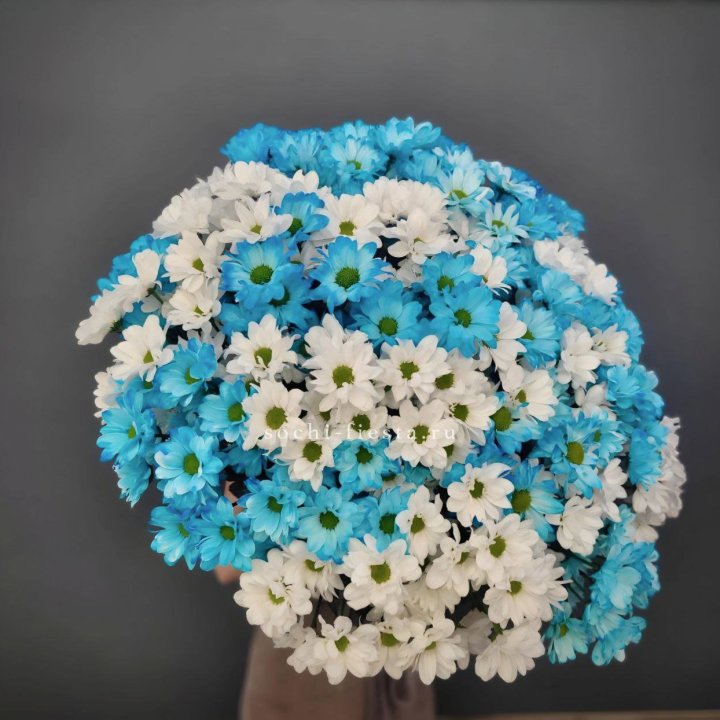  Букет хризантем микс в Кирове