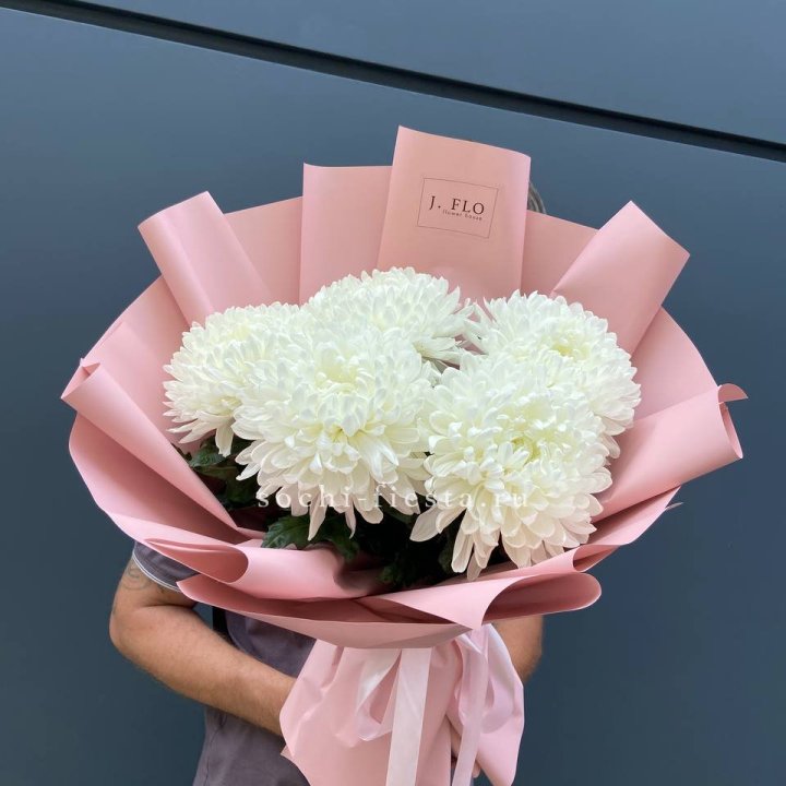 Профитроли №2 в Кирове