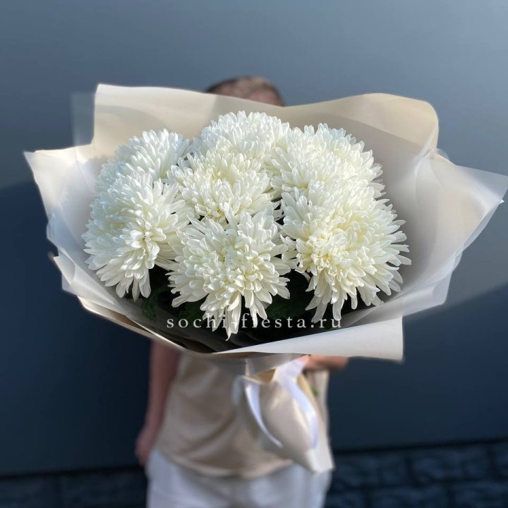 Профитроли в Кирове