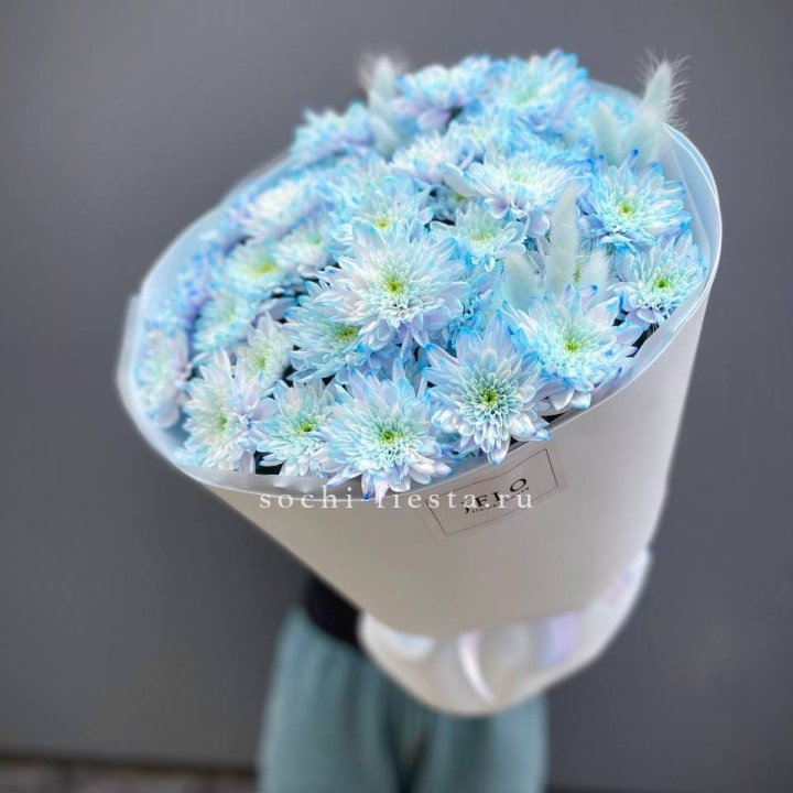  Букет нежно-голубых хризантем  в Кирове