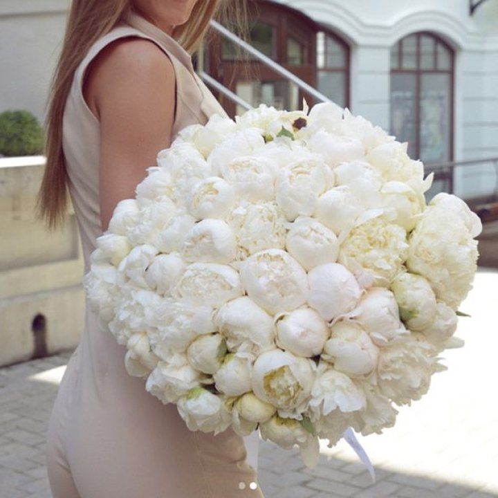 51 белый пион в Кирове