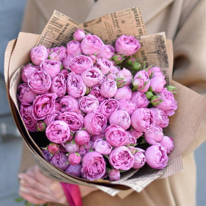 Роза Мисти Баблс в Кирове