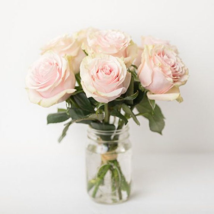 7 кремовых роз в Кирове