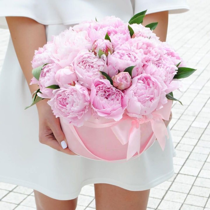 Пионы в шляпной коробке в Кирове