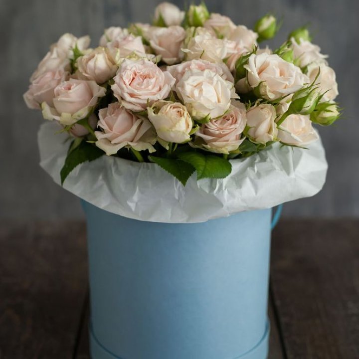 Бокс с бомбастиком в Кирове