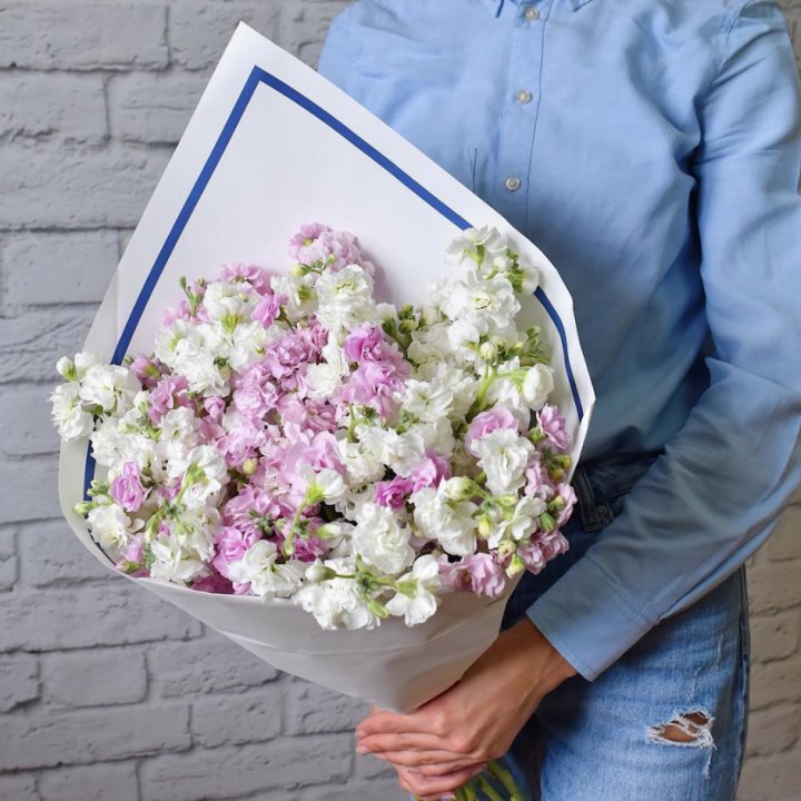 Маттиола в Кирове