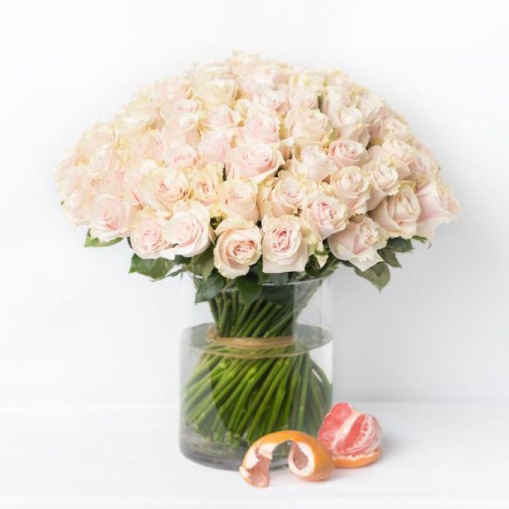 101 кремовая роза в Кирове