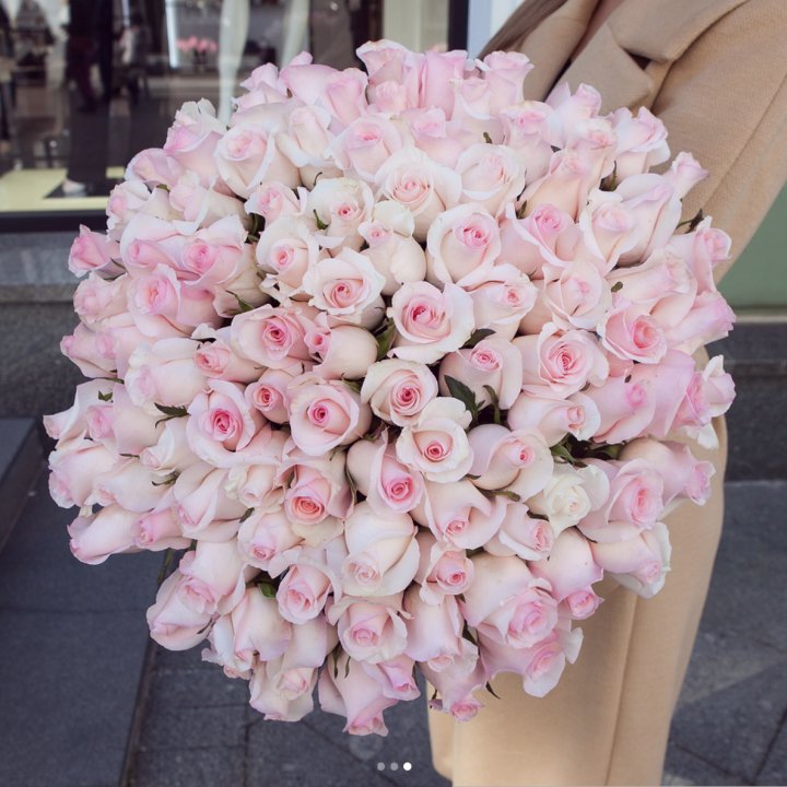 Розы "Пинк бум" в Кирове