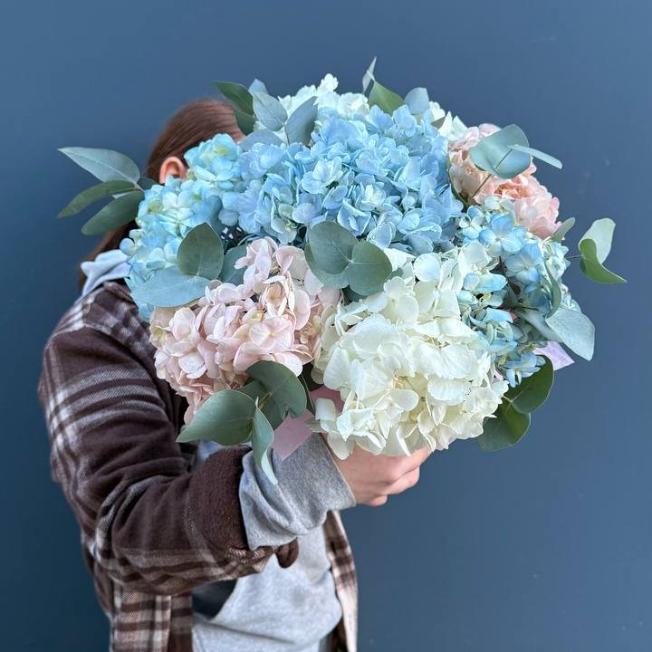 Гортензии в коробочке в Кирове