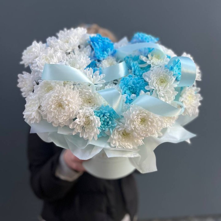 Хризнтемы в боксе в Кирове