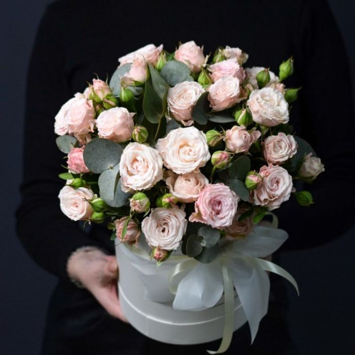 Бомбастик бокс №2 в Кирове