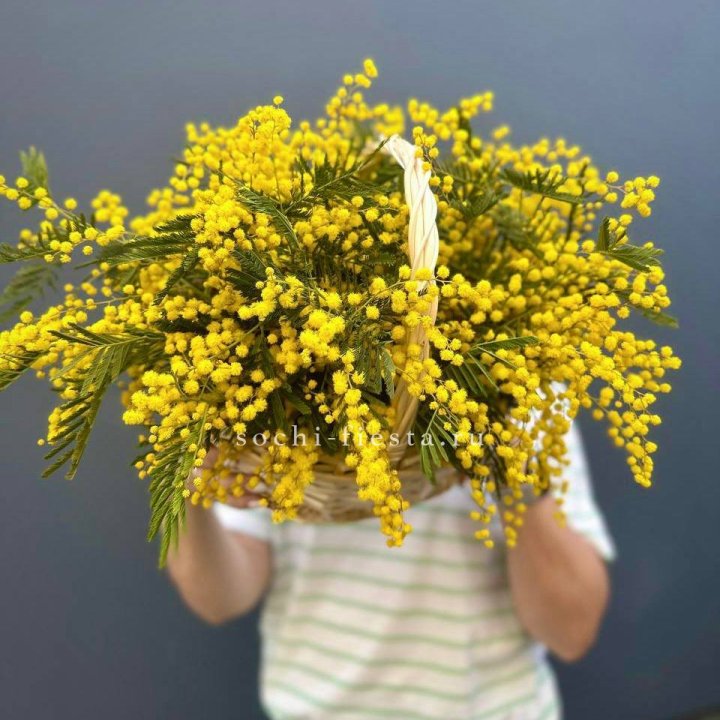 Весенняя корзина мимозы в Кирове