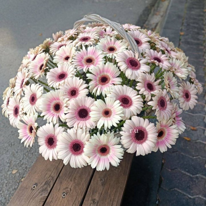 Корзина с герберами  в Кирове