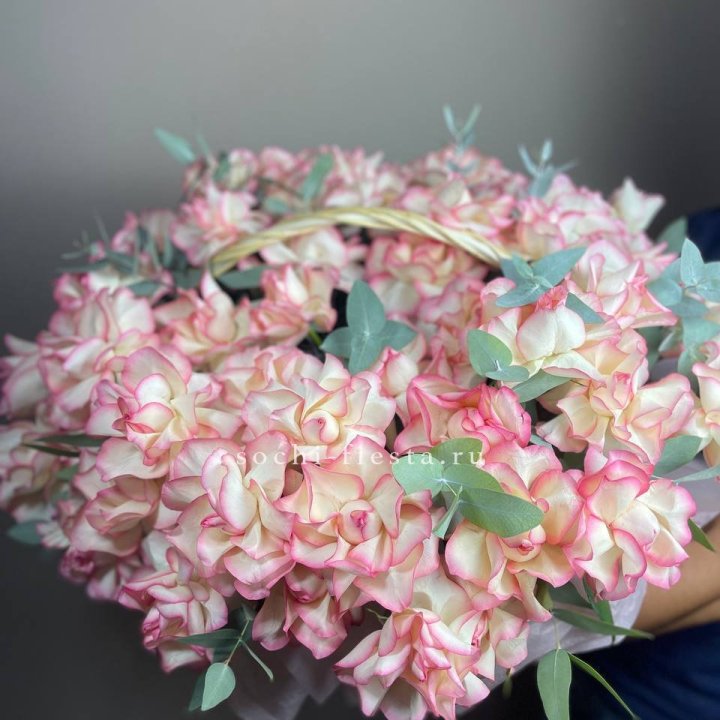 51 джумилия  в корзине   в Кирове